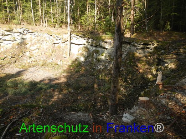 Bild zum Eintrag (87607-160)