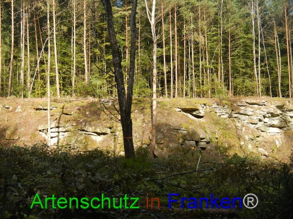 Bild zum Eintrag (87609-160)