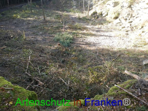 Bild zum Eintrag (87613-160)