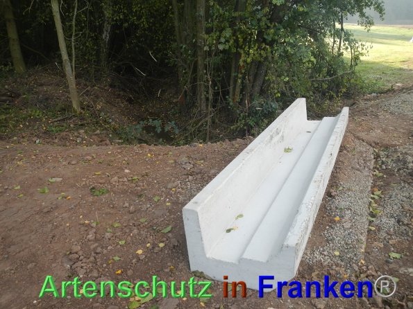 © Artenschutz in Franken® Bild zum Eintrag (87657-160)