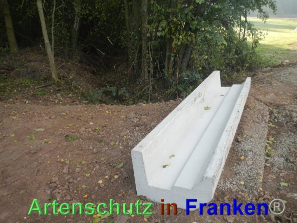 Bild zum Eintrag (87657-160)