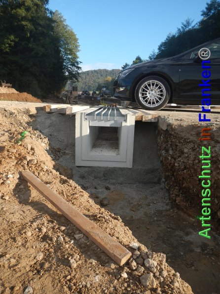 Bild zum Eintrag (87669-160)