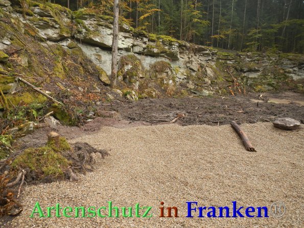 Bild zum Eintrag (87996-160)