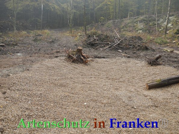 Bild zum Eintrag (87997-160)