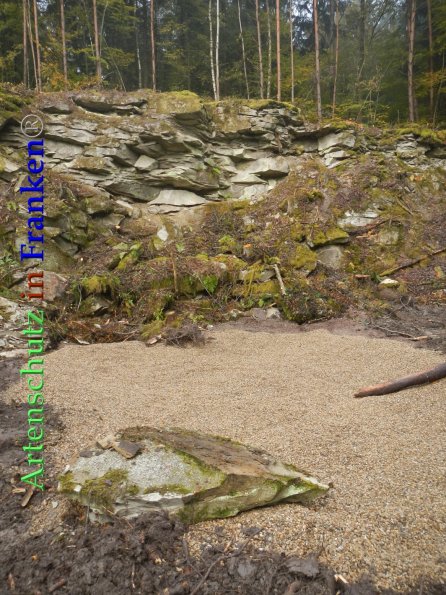 Bild zum Eintrag (88001-160)
