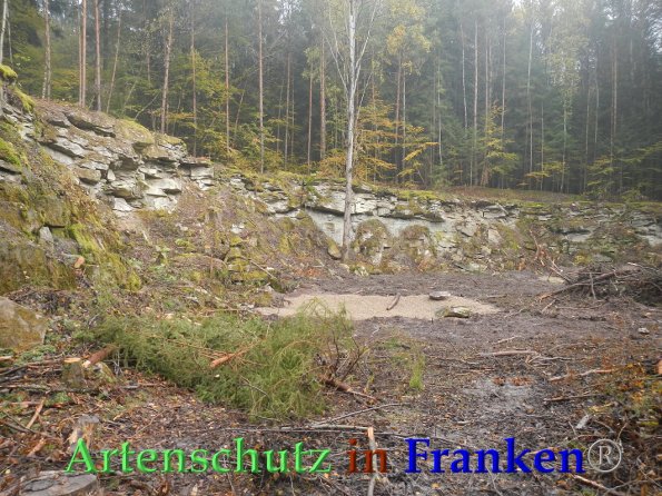Bild zum Eintrag (88003-160)