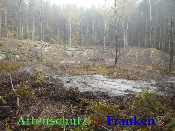 Bild zum Eintrag (88007-160)