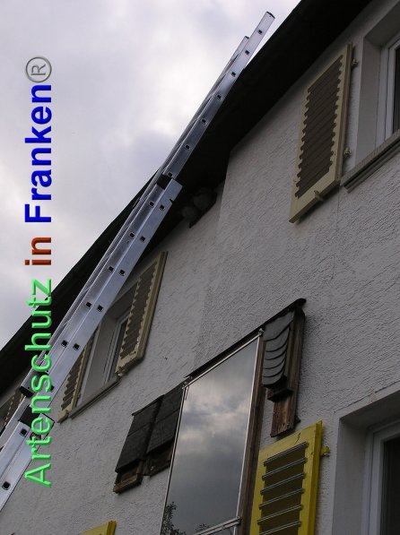 Bild zum Eintrag (88135-160)