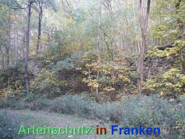 Bild zum Eintrag (88339-160)