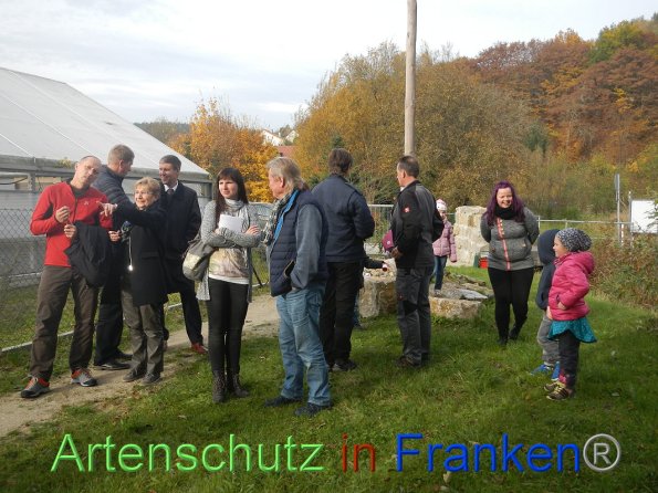 Bild zum Eintrag (88366-160)