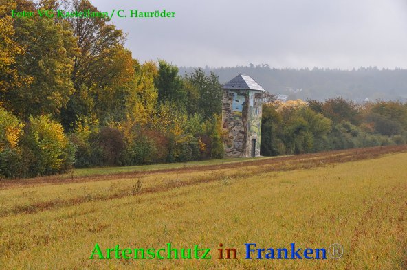 Copyright AiF VG Kastellaun / C. Hauröder Bild zum Eintrag (88463-160)