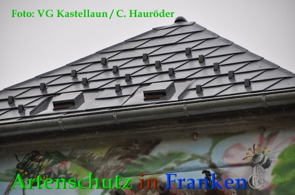 Copyright AiF VG Kastellaun / C. Hauröder Bild zum Eintrag (88472-160)