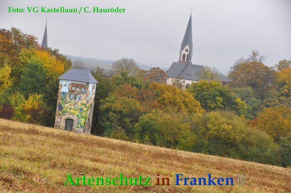 Copyright AiF VG Kastellaun / C. Hauröder Bild zum Eintrag (88473-160)