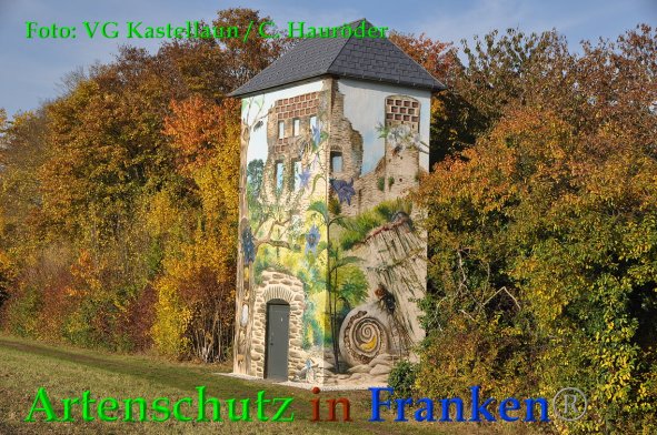 Copyright AiF VG Kastellaun / C. Hauröder Bild zum Eintrag (88474-160)