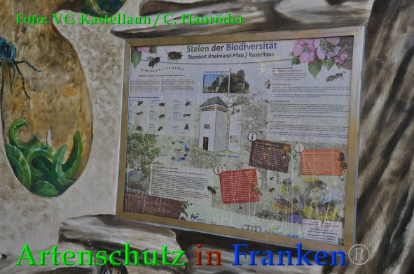 Copyright AiF VG Kastellaun / C. Hauröder Bild zum Eintrag (88475-160)