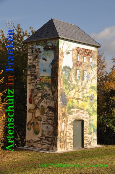 Copyright AiF VG Kastellaun / C. Hauröder Bild zum Eintrag (88476-160)