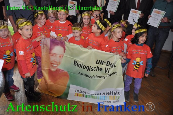 Copyright AiF VG Kastellaun / C. Hauröder Bild zum Eintrag (88487-160)