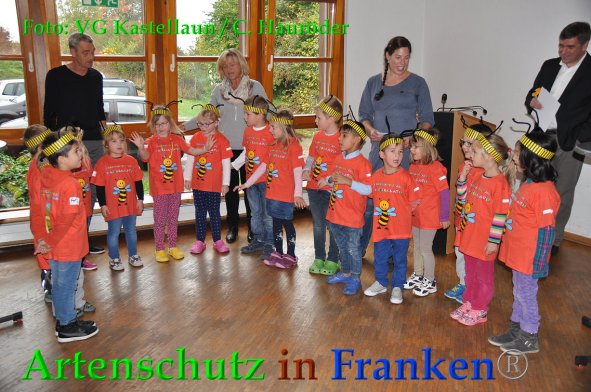 Copyright AiF VG Kastellaun / C. Hauröder Bild zum Eintrag (88508-160)