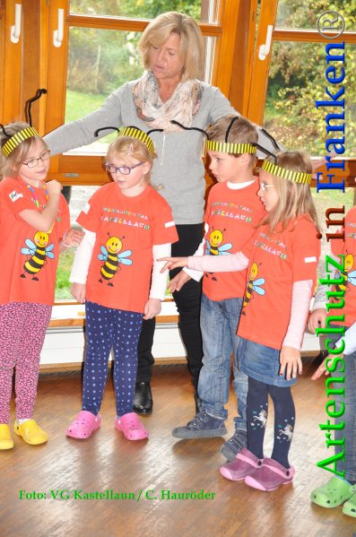 Copyright AiF VG Kastellaun / C. Hauröder Bild zum Eintrag (88516-160)