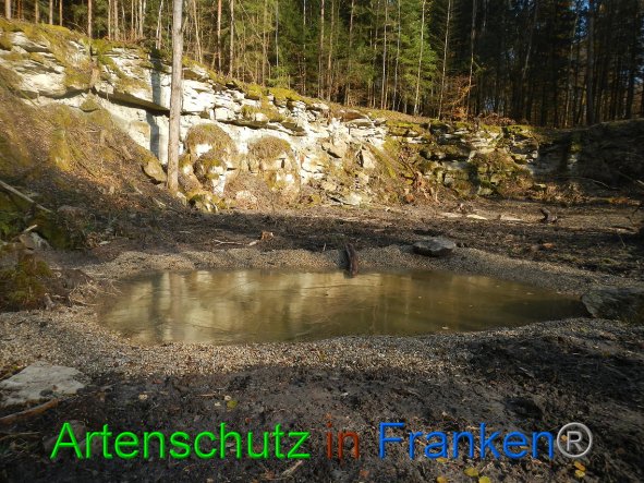 Bild zum Eintrag (88662-160)