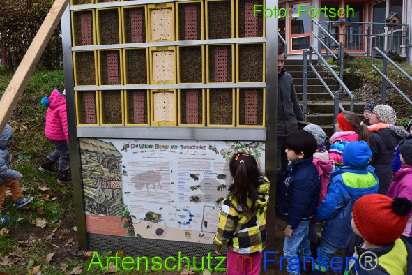 Copyright AiF Förtsch Bild zum Eintrag (88829-160)