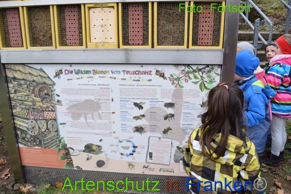 Copyright AiF Förtsch Bild zum Eintrag (88830-160)