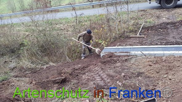 Bild zum Eintrag (88987-160)