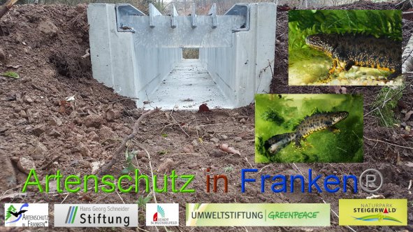 Copyright AiF / Collage - Wolfgang Willner Bild zum Eintrag (88996-160)