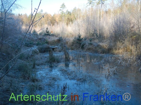 Bild zum Eintrag (89022-160)