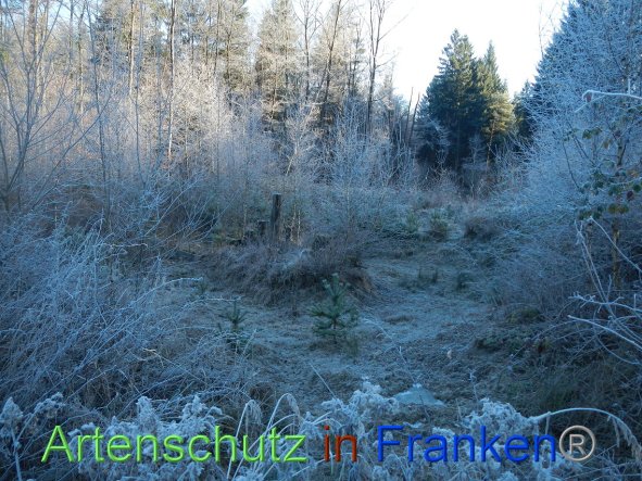 Bild zum Eintrag (89028-160)