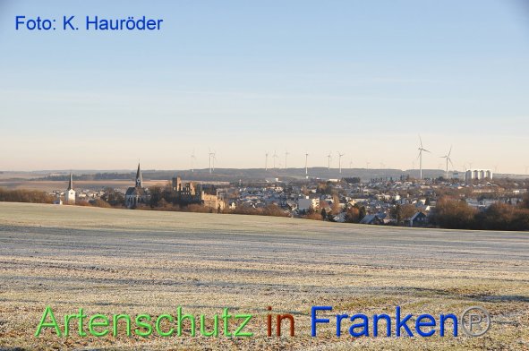 Copyright AiF Klemens Hauröder Bild zum Eintrag (89045-160)