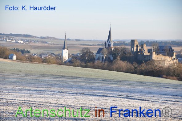 Copyright AiF Klemens Hauröder Bild zum Eintrag (89046-160)