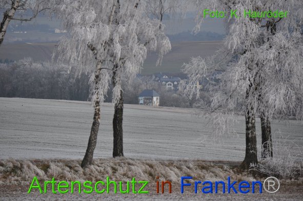 Copyright AiF Klemens Hauröder Bild zum Eintrag (89070-160)