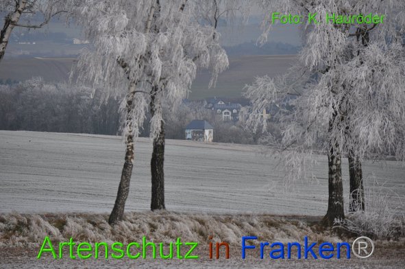 Bild zum Eintrag (89070-160)