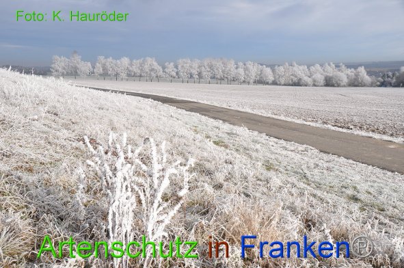 Copyright AiF Klemens Hauröder Bild zum Eintrag (89071-160)