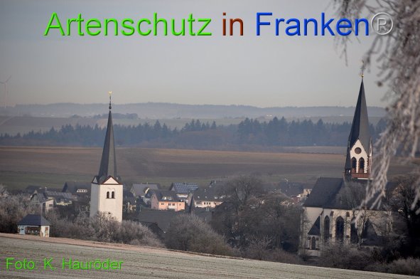Copyright AiF Klemens Hauröder Bild zum Eintrag (89072-160)