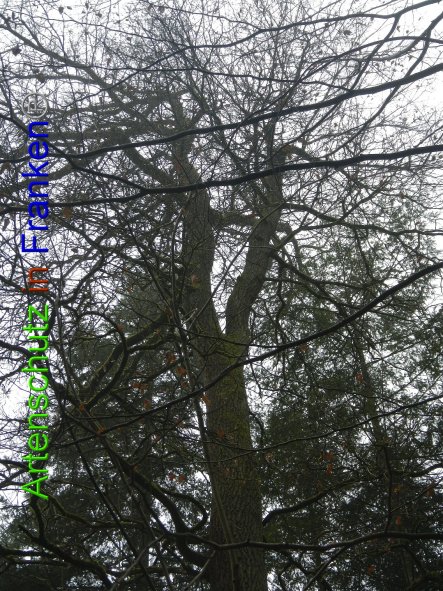 Bild zum Eintrag (89136-160)