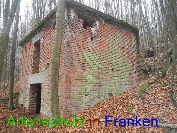 Bild zum Eintrag (89155-160)