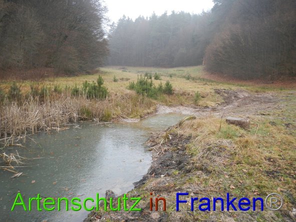 Bild zum Eintrag (89175-160)