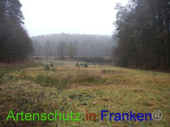 Bild zum Eintrag (89177-160)