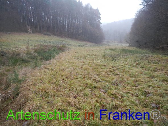 Bild zum Eintrag (89178-160)