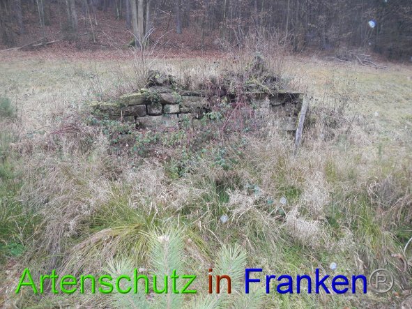 Bild zum Eintrag (89179-160)
