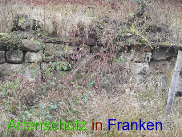 Bild zum Eintrag (89180-160)