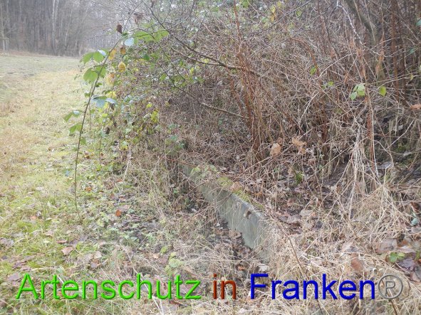 Bild zum Eintrag (89192-160)