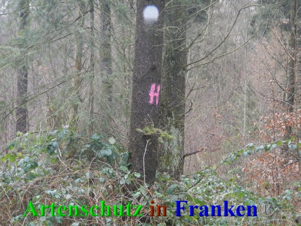 Bild zum Eintrag (89269-160)