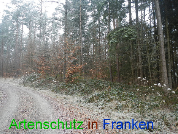 Bild zum Eintrag (89445-160)