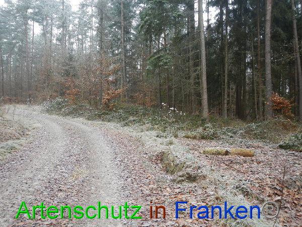 Bild zum Eintrag (89446-160)