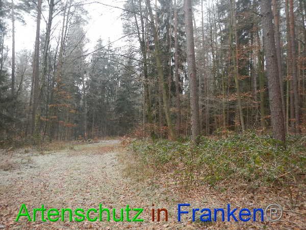 Bild zum Eintrag (89448-160)
