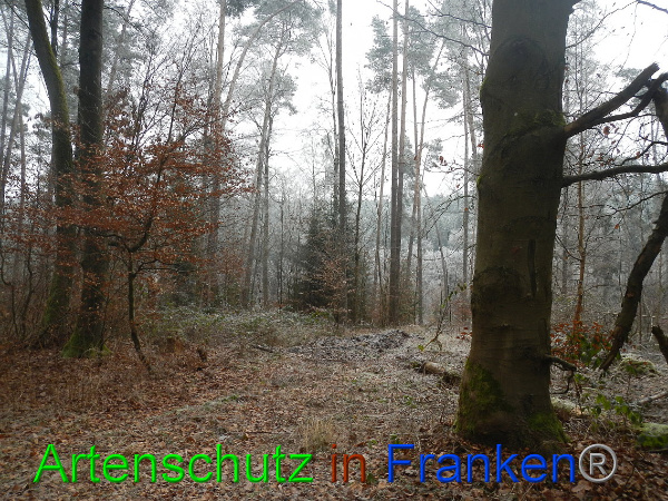 Bild zum Eintrag (89449-160)