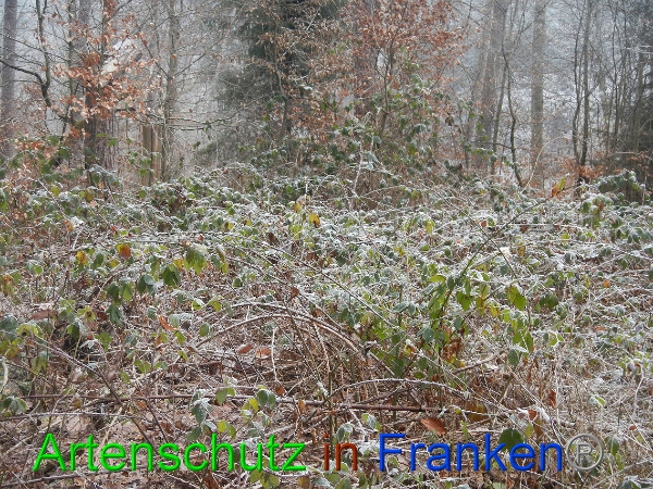Bild zum Eintrag (89450-160)